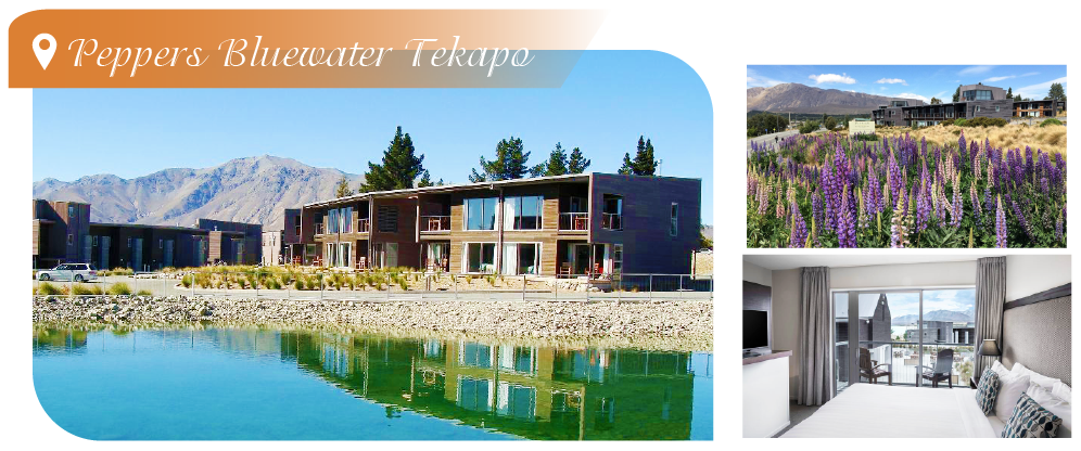 魯冰花季紐西蘭10日