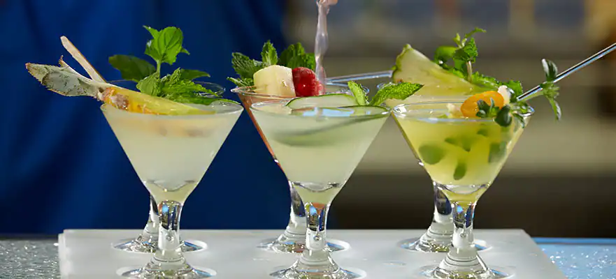 Sugarcane Mojito Bar Sugarcane Mojito Bar